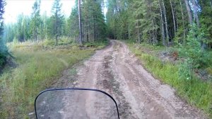 1-В лес по грибы