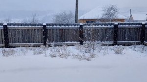 Доброе снежное утро,😍