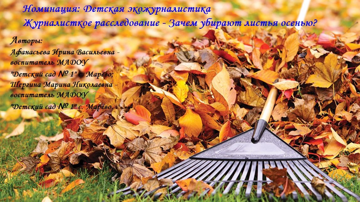 Участие в конкурсе смотреть онлайн