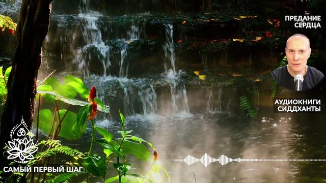 Самый первый шаг. Аудиокниги Сиддханты (Вячеслава Чернина)