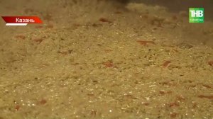 Госсовет Татарстана 24 декабря рассмотрит 24 вопроса повестки