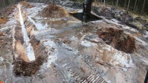 Кадры из работы в Лесу - Часть 17