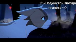 Коты воители "Грустная история мошки," {В начале и где то с голосами кв_вои}♥︎