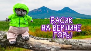 🏔🐫🏔 БАСИК НА ГОРЕ ВЕРБЛЮД/ПРИКЛЮЧЕНИЯ БАСИКА #Басик #волшебныебудни