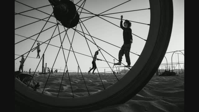 Знакомство с творчеством Мойзес Леви