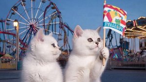 Мультики для детей . Развлекашки для детей . Развлекательный канал