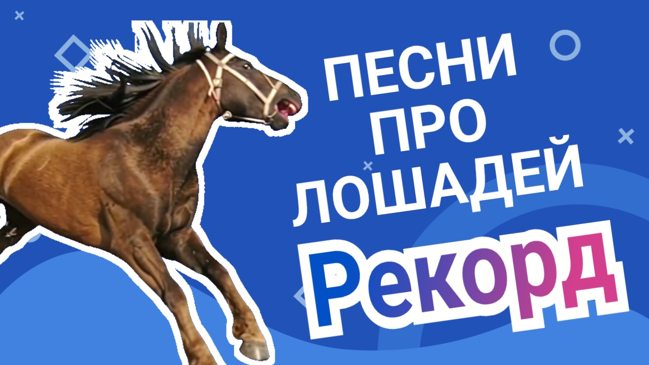 Рекорд вожак табуна / Песни про лошадей