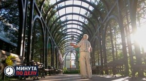 Ученые сообщили о влиянии образа жизни на возраст мозга