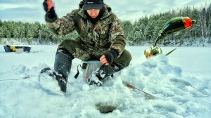 ЭТА МОРМЫШКА СПАСЛА РЫБАЛКУ. БЕЗМОТЫЛКА В ДЕЛЕ