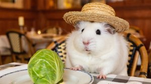 РАЗВЛЕКАТЕЛЬНОЕ ВИДЕО ДЛЯ ДЕТЕЙ