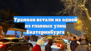 Трамваи встали на одной из главных улиц Екатеринбурга