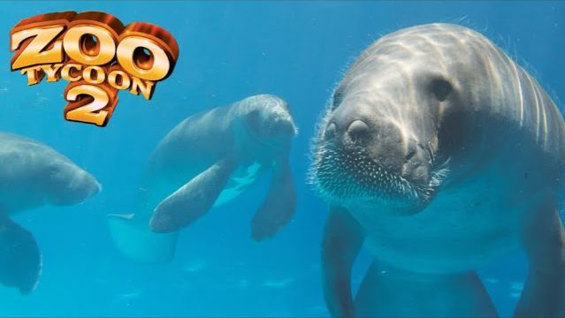 American Bison Exhibit Speed Build - Zoo Tycoon 2 (360p)