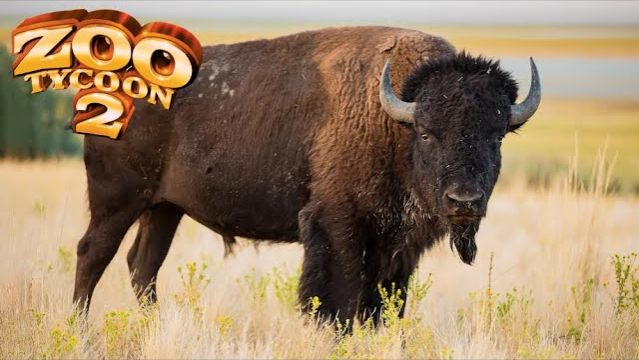American Bison Exhibit Speed Build - Zoo Tycoon 2 (360p)