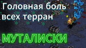 Чемпион ASL20 зерг Soma против ТОП-3 террана последних 10 лет Rush. Отличная битва - Старкрафт
