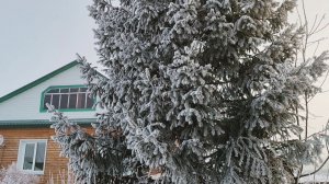 Как без снега... Север у нас. Новый магазин. Обои наклеили , уборка.