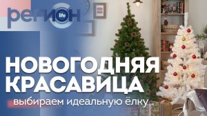 Регион LIFE | Выбираем идеальную ёлку | ОТС LIVE — прямая трансляция