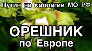 ОРЕШНИК СТАЛ НА БОЕВОЕ ДЕЖУРСТВО. Путин выступает на заседании коллегии Министерства обороны РФ