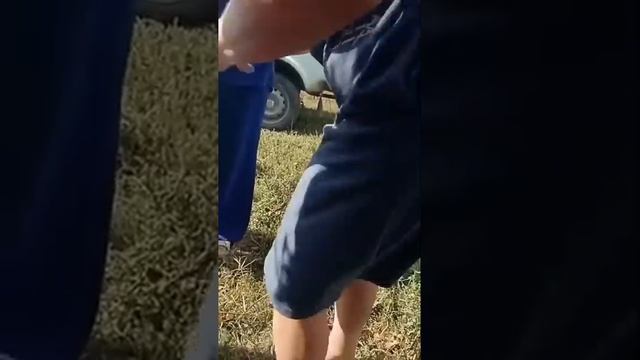 Расклад от а до я - СССР. 2025 г смотреть онлайн