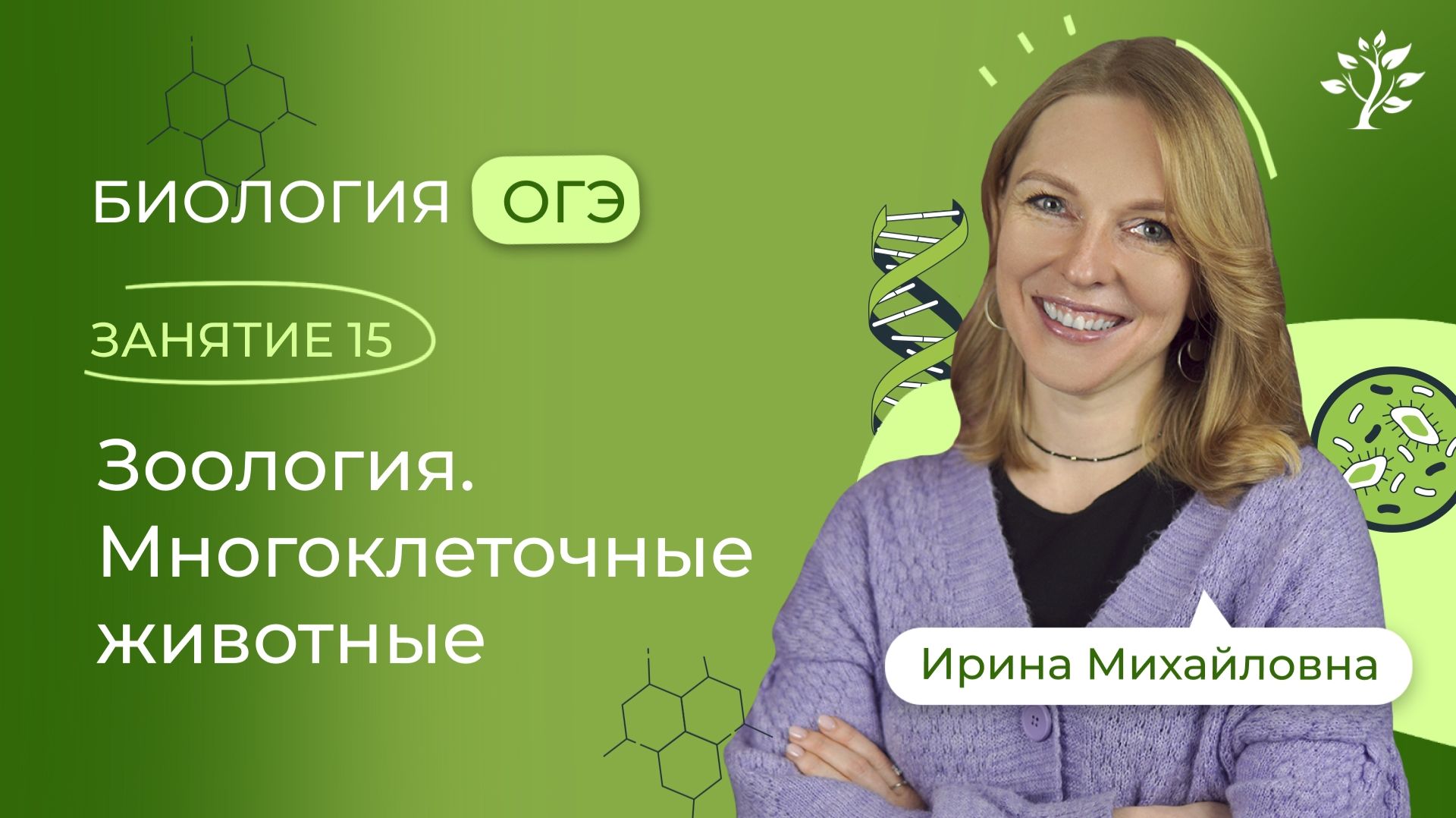 Занятие 15 Зоология. Многоклеточные животные. Курс подготовки к ОГЭ по биологии | 2025-2026 смотреть онлайн