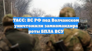 ТАСС: ВС РФ под Волчанском уничтожили замкомандира роты БПЛА ВСУ