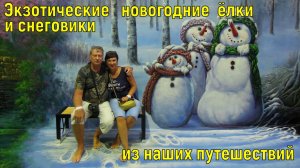 ЭКЗОТИЧЕСКИЕ НОВОГОДНИЕ ЕЛКИ И СНЕГОВИКИ ИЗ НАШИХ ПУТЕШЕСТВИЙ ⛄