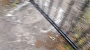 Погода на улице 18 декабря 2025 года, Воронежская область, Таловский район.