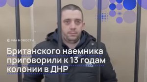 Британского наемника приговорили к 13 годам колонии в ДНР