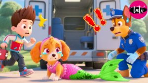 Щенячий патруль и Маршалл. Залипательное видео. Мультфильм для детей и малышей. Анимация