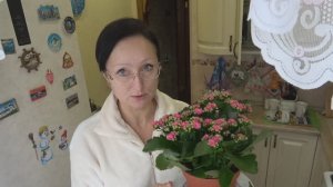 Хроника в городе. Декабрь 2025 года. Цветы живые и декор. "Чудо на 34 улице смотрю фильм.