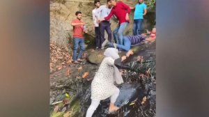 Лучшие Смешные Моменты😀