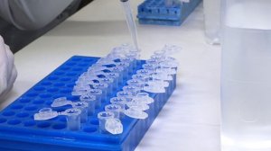 Студенты кафедры аграрного университета проходят практику в Белгородской лаборатории ФГБУ «ВНИИЗЖ»