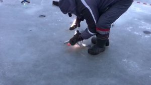 поимка форели на пасту