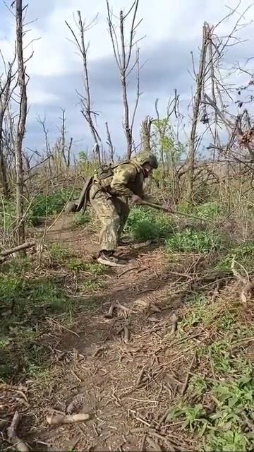 Разминирование лесополки подручными средствами. смотреть онлайн