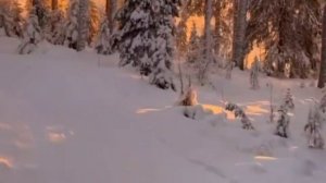 1000009907.mp4 🌲🌲🌲ВОСПОМИНАНИЯ О ДЕТСТВЕ, ПЕРЕД НОВЫМ ГОДОМ 🌲🌲🌲