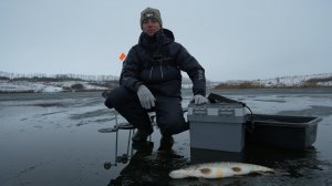 Ловля щуки на жерлицы по первому тонкому льду. Зимняя рыбалка 2025.
