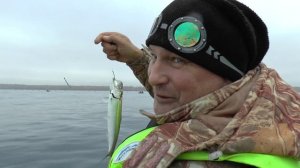 Рыбалка на Черном море. Севастополь. Селедка на все крючки