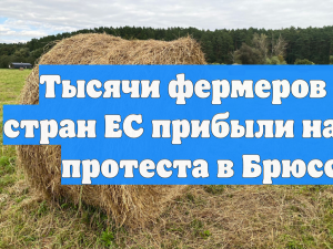 Тысячи фермеров вышли на протест в Брюсселе против соглашения ЕС и «Меркосур»