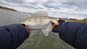 Рогожкино берег и лодка