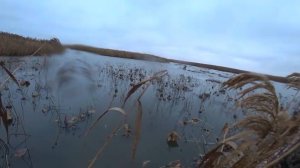 УТКИ САДЯТСЯ ПРЯМ В ЛОДКУ, А НАМ В НЕЙ НОЧЕВАТЬ! ОХОТА В ДЕКАБРЕ. ШУЛЮМ. ГУСИНЫЙ ШАНС. ЗАХВАТ РЕКИ.