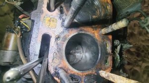 #341 The Little Tractor That Wouldn’t Run 28.11.2025