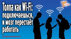 Толпа как Wi-Fi: подключаешься, и мозг перестаёт работать