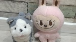 знакомство  с бондитом  и. обзор  на   книжку  часы  и время