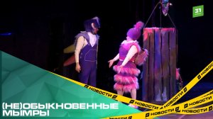 (Не)обыкновенные мымры. В Камерном театре премьера новогоднего спектакля «Чудо в перьях»