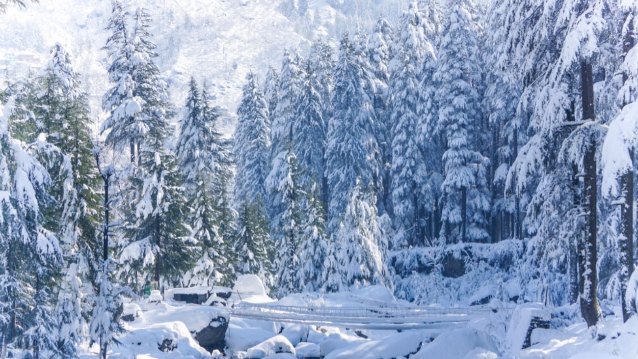 ACMR - Успокаивающий снегопад. Звук легкого ветерка и падающего снега в лесу