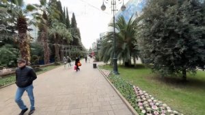 ПРЕДНОВОГОДНИЙ СОЧИ 🌲🎄