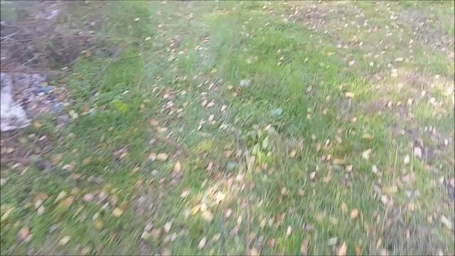 Донецк. Субботник у окопов смотреть онлайн