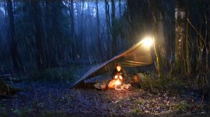 Выживание в лесу зимой в дождь и снег без палатки: как приготовить лучшие наггетсы в диких условиях