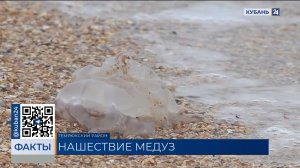 ФАКТЫ. Выпуск от 18.12.2025