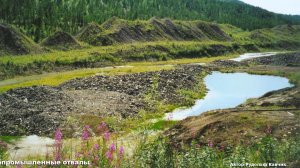 Современная добыча золота вольными старателями.