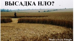 Круги на полях люди.6